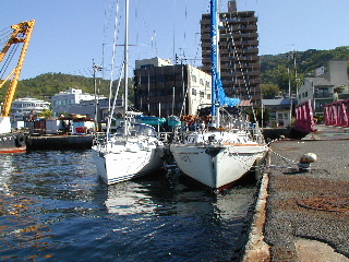 写真